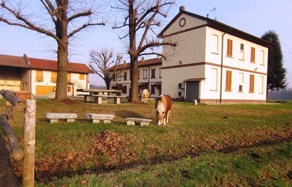 Bed And Breakfast Azienda Agricola Cascina Salazzaraマジェンタ エクステリア 写真