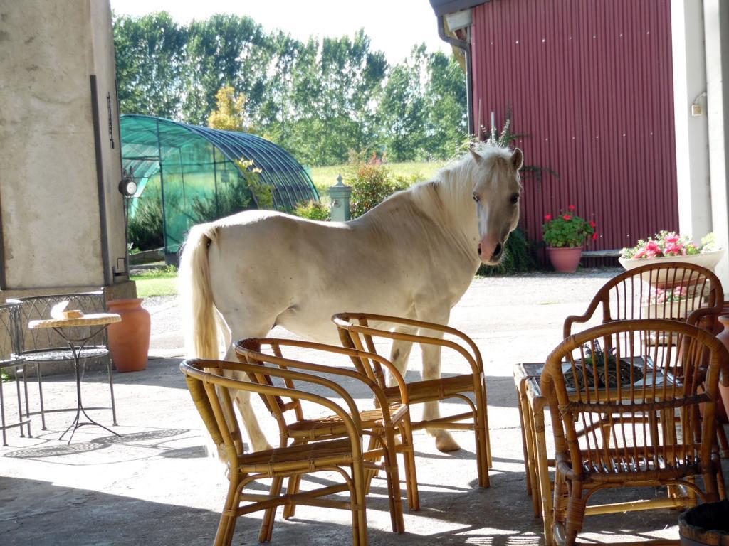 Bed And Breakfast Azienda Agricola Cascina Salazzaraマジェンタ エクステリア 写真